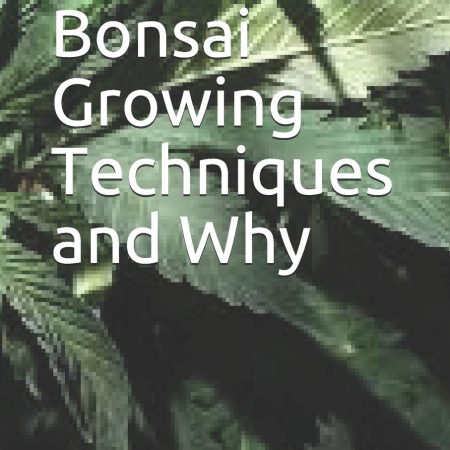 Cannabis: Bonsai Growing Techniques and Why
