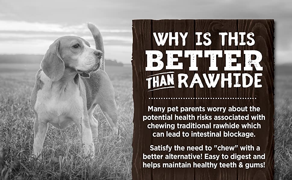 Zoe dog treats, dog chews, rawhide, rawhide alternative, dental bone for dog, dental treat for dog